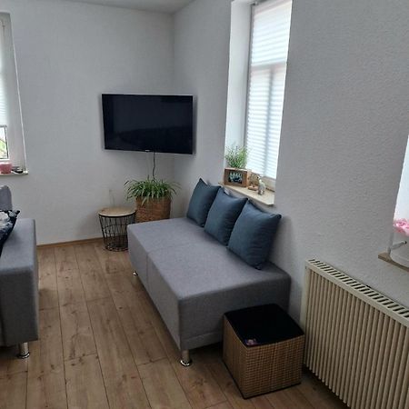 Ferienhaus Reschwitzer Auszeit Saalfeld Saale Eksteriør billede