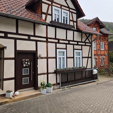 Ferienhaus Reschwitzer Auszeit Saalfeld Saale Eksteriør billede